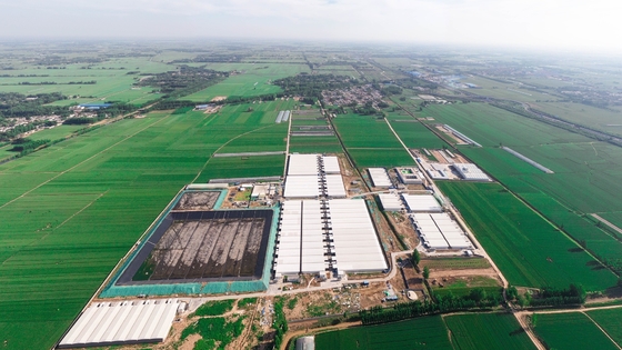 Buy Steel Structure Materials of  Livestock Farm Highly Cost-effective Construction Plan online manufacture