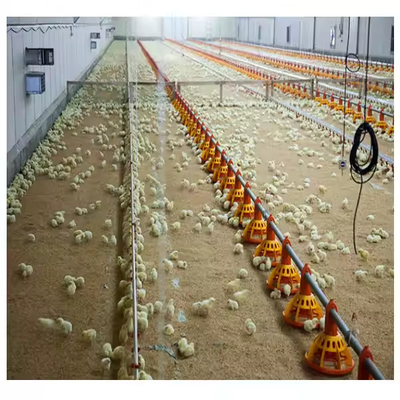 Buy Automatic Metal Cage Steel Structure Broiler Chicken Poultry House online manufacture