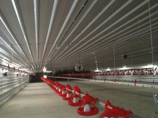 Buy Automatic Steel Structure Peb Customized Poultry Chicken Farming Shed online manufacture
