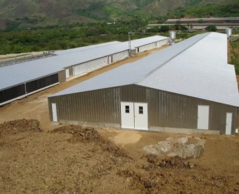 Buy Prefab Light Steel Frame Construction Structure Modular Frame Chicken Poultry Farm House online manufacture