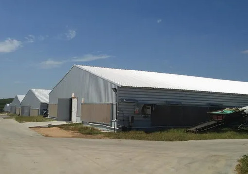 購入 軽鋼の枠構造 PEB 鉄鋼の工房 プリファブ建築物 online manufacture