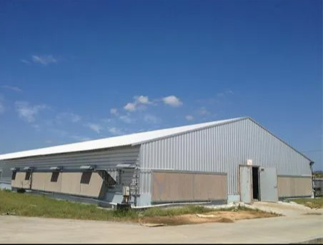 Buy OEM Customized Light Steel Structure Metal Commercial & Industrial Warehouse Building online manufacture