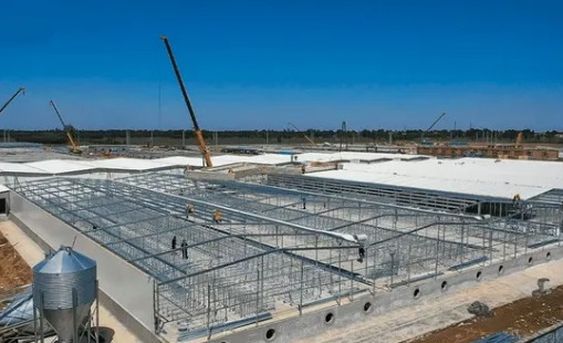 kupować Prefabrykowany budynek modułowy dla nowoczesnych gospodarstw i obiektów jeździeckich Trwałe konstrukcje stalowe dla rolnictwa i hodowli zwierząt online manufacture