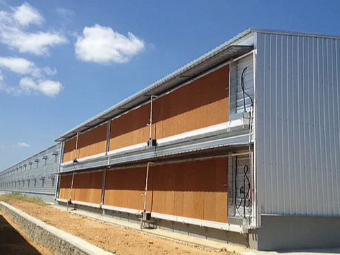 Buy Metal Prefab Anticorrosion Light Steel Structure Poultry House online manufacture