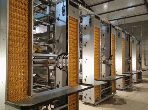 acheter Poulailler avicole en structure d'acier pour élevage de poulets de chair fabrication en ligne