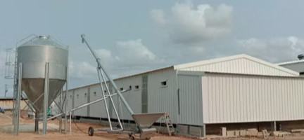 comprar Fabricação de armazém industrial e oficina com estrutura de aço em perfis H à prova de vento online manufacture