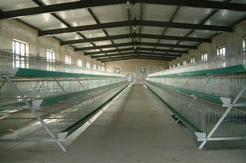 Buy High Strength Hot Dip Galvanized Steel Structure Livestock Barn Farm Shed online manufacture