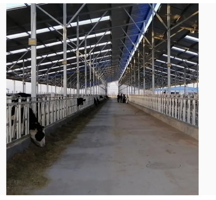 Buy Custom Galvanized Light Steel Structure Horse Cow Sheep Stables Farm Shed online manufacture