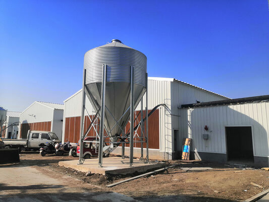 kaufen Typ H Legehennen Zucht Hühner Automatisches Equipment Online-Herstellung