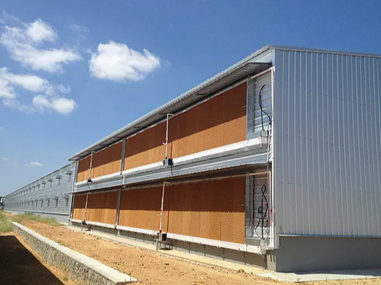 Buy Corrosion Resistance Prefab Poultry House Light Steel Frame Fiberglass Wool Panel online manufacture