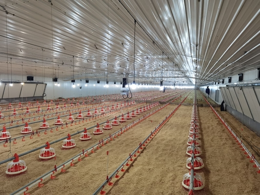 Buy Hot Dip Galvanized Metal Steel Broiler Layer Poultry House With Automatic Brooding Equipment online manufacture