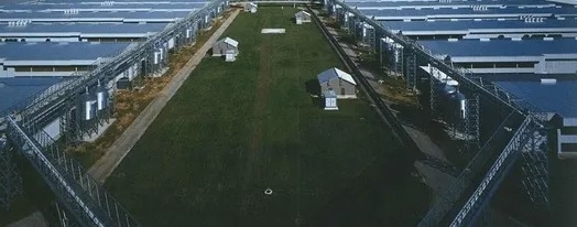 Buy ISO Certified Prefab Poultry House Automatic Manure Removal Feeding System online manufacture