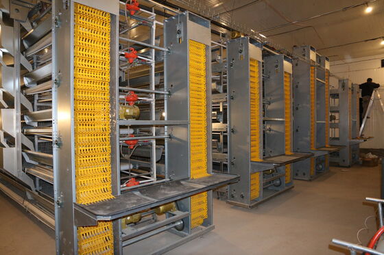 acheter Installations professionnelles pour l'élevage à grande échelle de poulets modernes fabrication en ligne