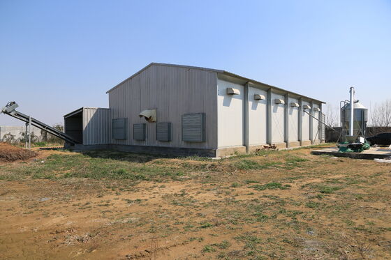 comprar Espaço de reprodução funcional padronizado Casas de frangos modernas Fabricação em linha