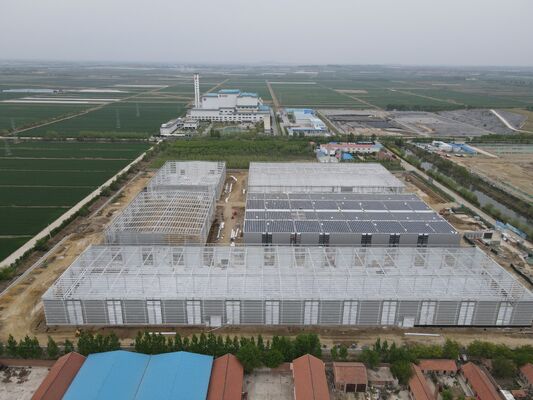 comprare Costruzione di capannoni in acciaio a struttura efficiente fabbricazione online