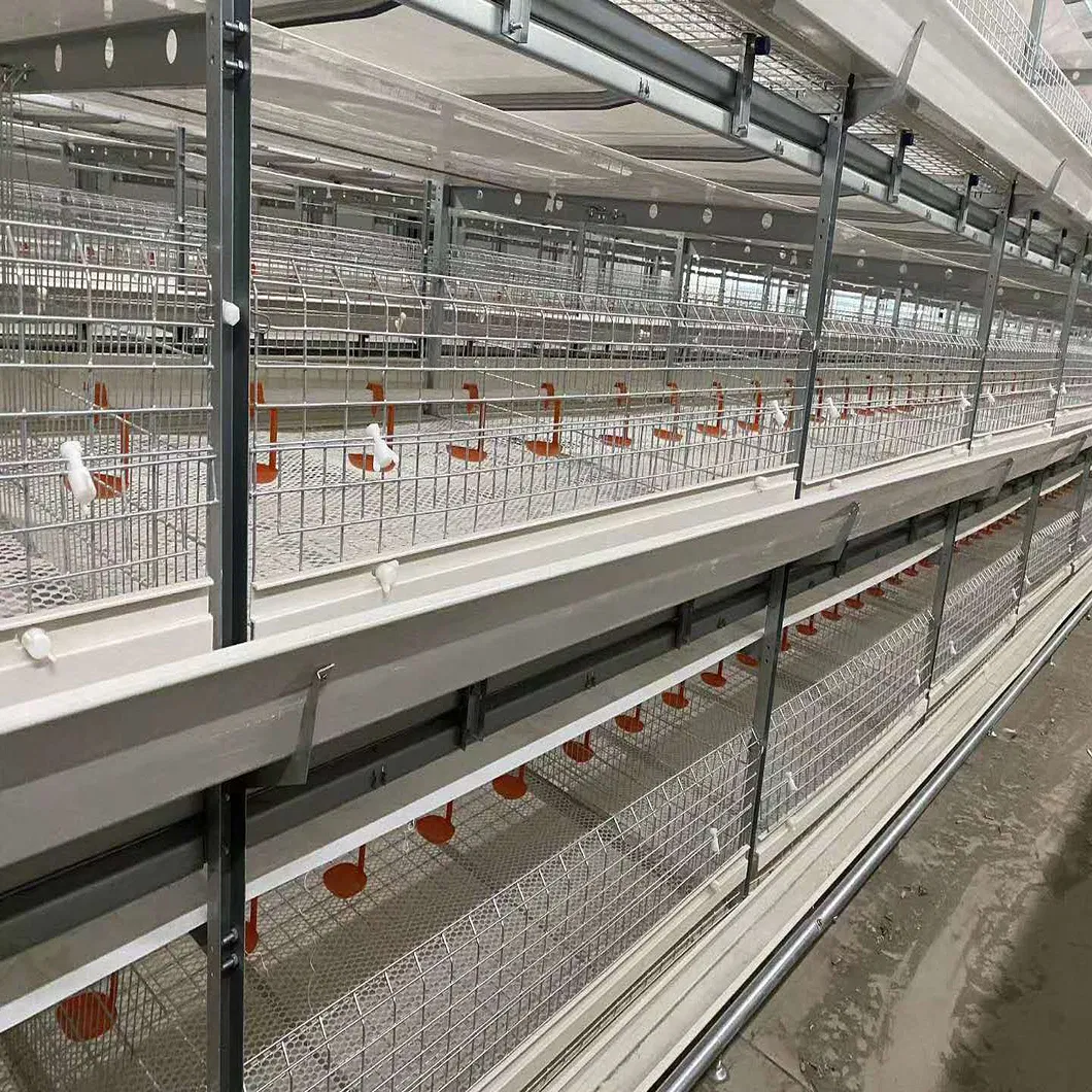 Automatic Metal Cage Steel Structure Broiler Chicken Poultry House 1