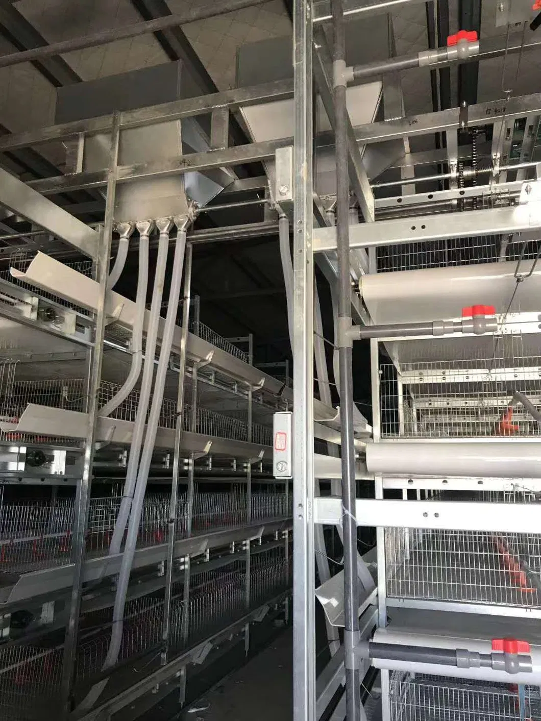 Automatic Metal Cage Steel Structure Broiler Chicken Poultry House 2