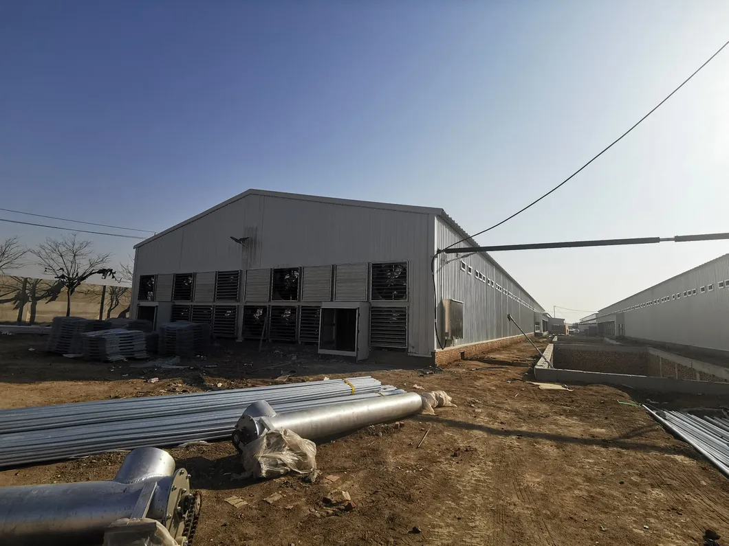 Prefabricated Glavanized Light Steel Structure Farm Poultry House Shed 0