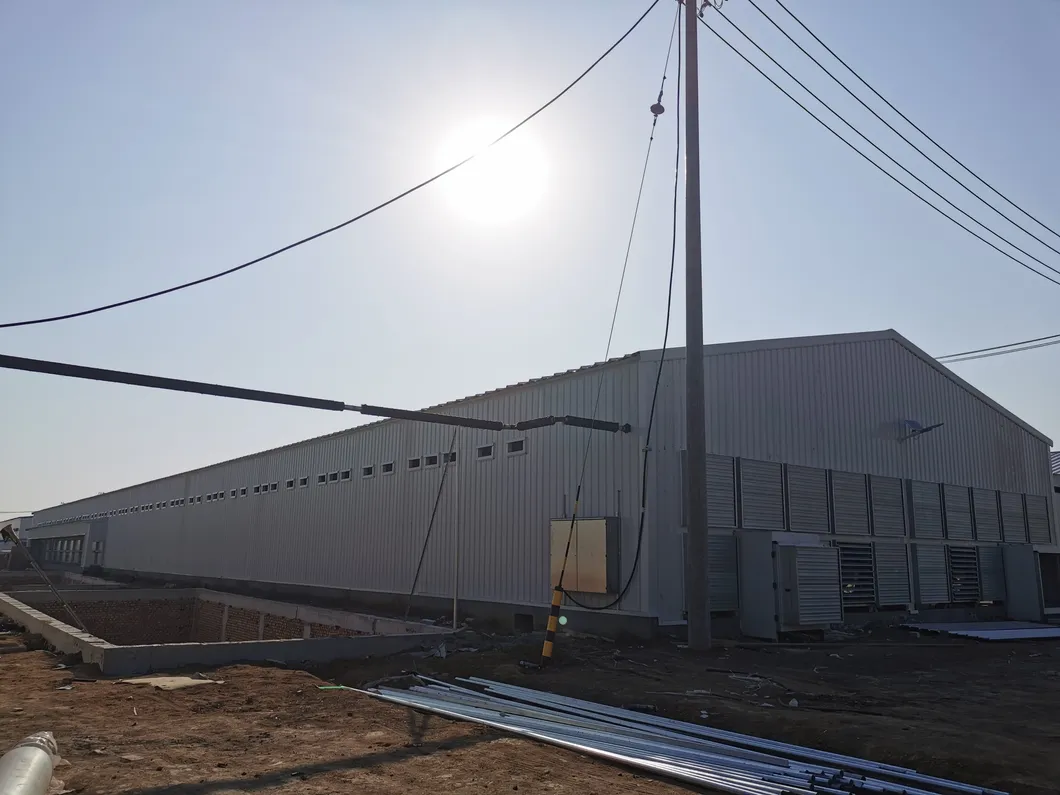 Prefabricated Glavanized Light Steel Structure Farm Poultry House Shed 2