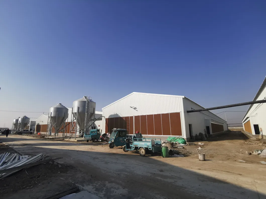 Prefabricated Glavanized Light Steel Structure Farm Poultry House Shed 3