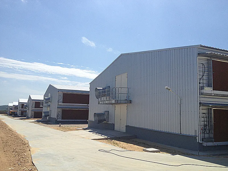 Prefabricated Glavanized Light Steel Structure Farm Poultry House Shed 6