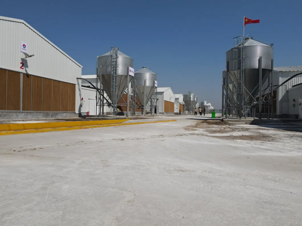 Hot Dip Galvanized Metal Steel Broiler Layer Poultry House With Automatic Brooding Equipment 11