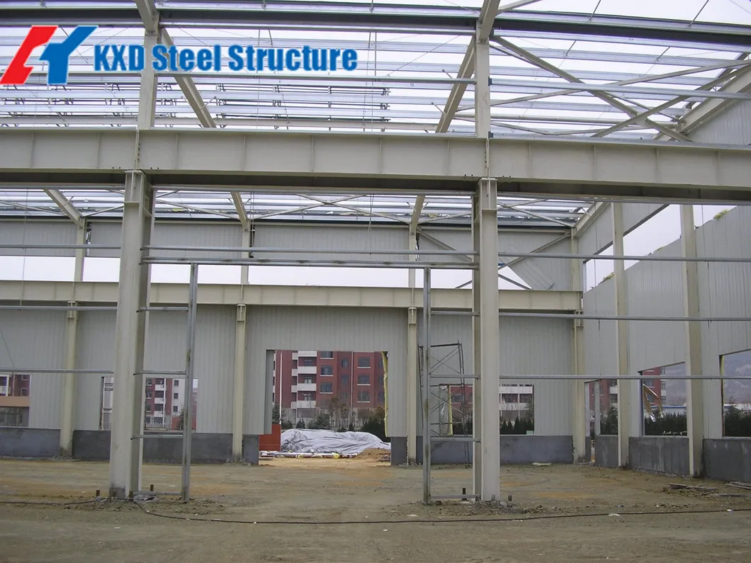 100X200′ Pre-Engineered Steel Structure Facility Metal Storage Buildings 3
