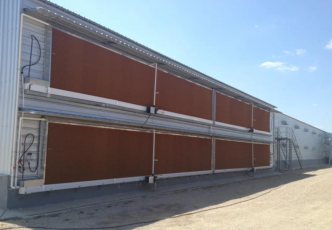 Metal Prefab Anticorrosion Light Steel Structure Poultry House 1