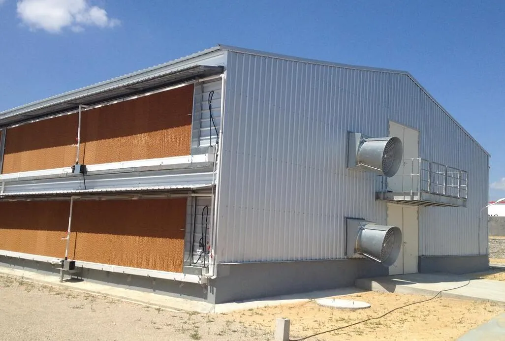 Metal Prefab Anticorrosion Light Steel Structure Poultry House 2