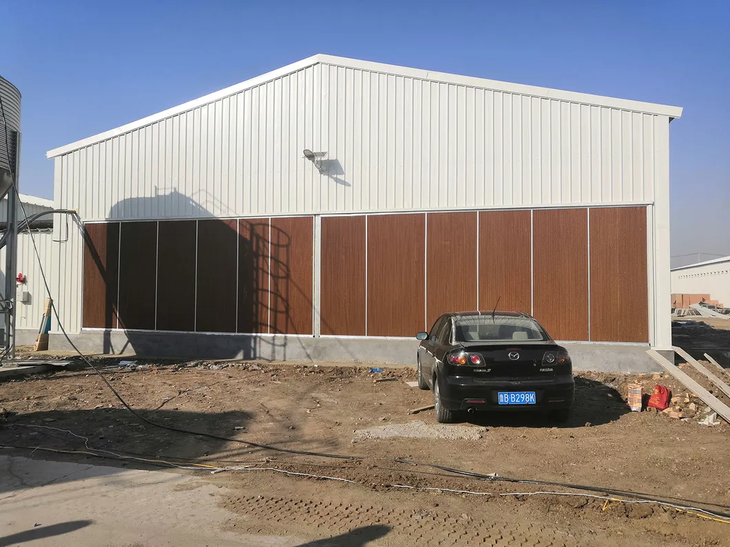 Metal Prefab Anticorrosion Light Steel Structure Poultry House 3