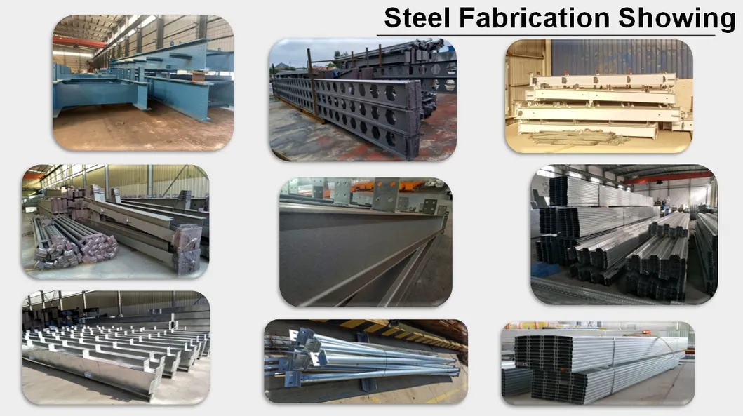 Prefabricated Container Building Shop Showroom Office Container Weather Resistance 12
