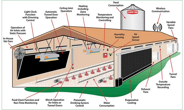 Steel Structure Chicken Poultry House Chicken Farm Broiler Chicken House 1