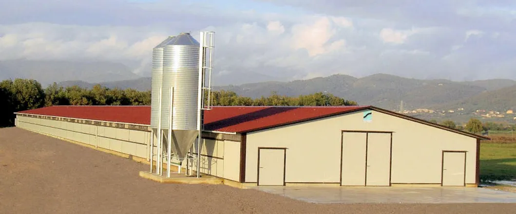 Steel Structure Chicken Poultry House Chicken Farm Broiler Chicken House 2