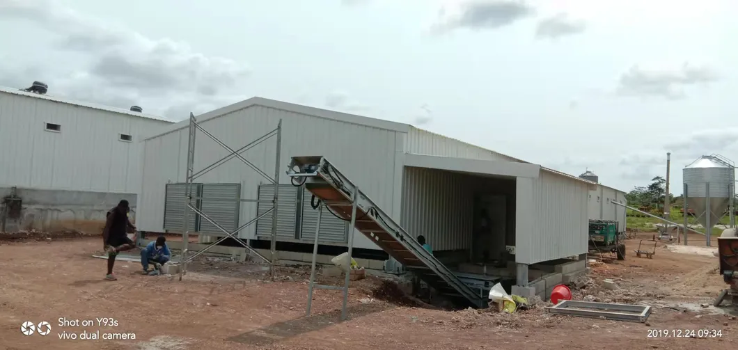 Steel Structure Chicken Poultry House Chicken Farm Broiler Chicken House 3