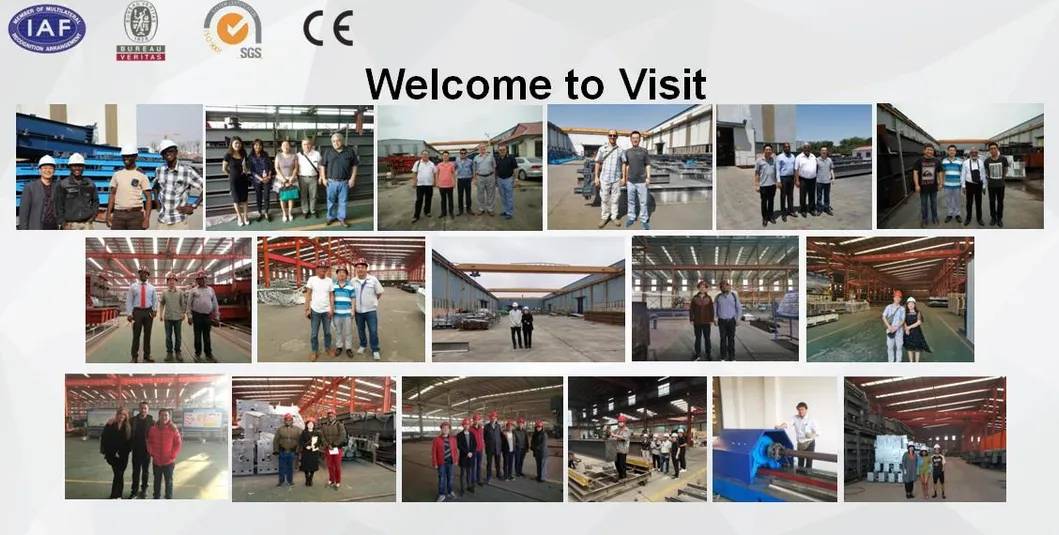 Prefabricated Light Steel Frame Buildings Food Processing Workshop Construction Buildings 19