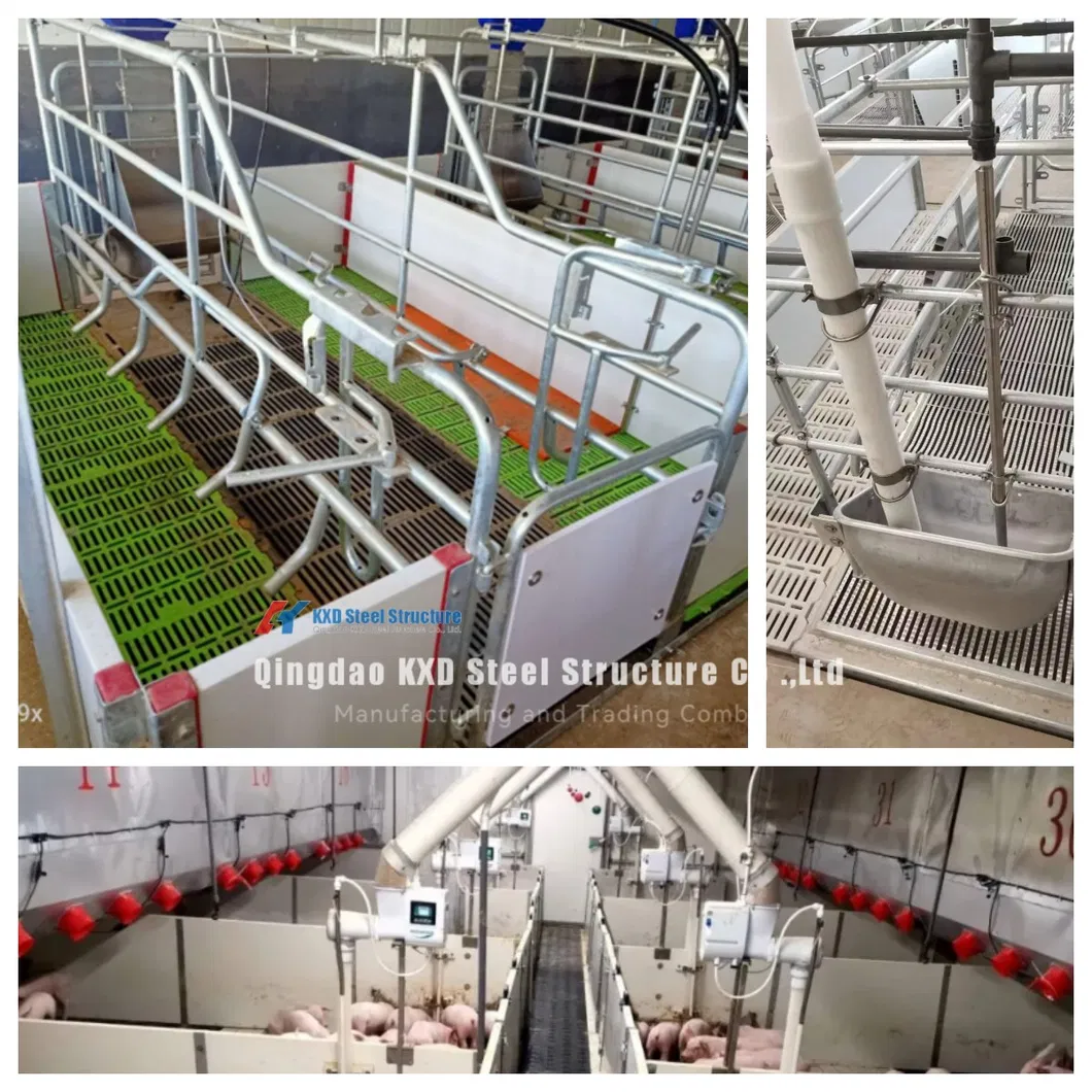 Modern Pig Farm Steel Building/ Poultry House 2
