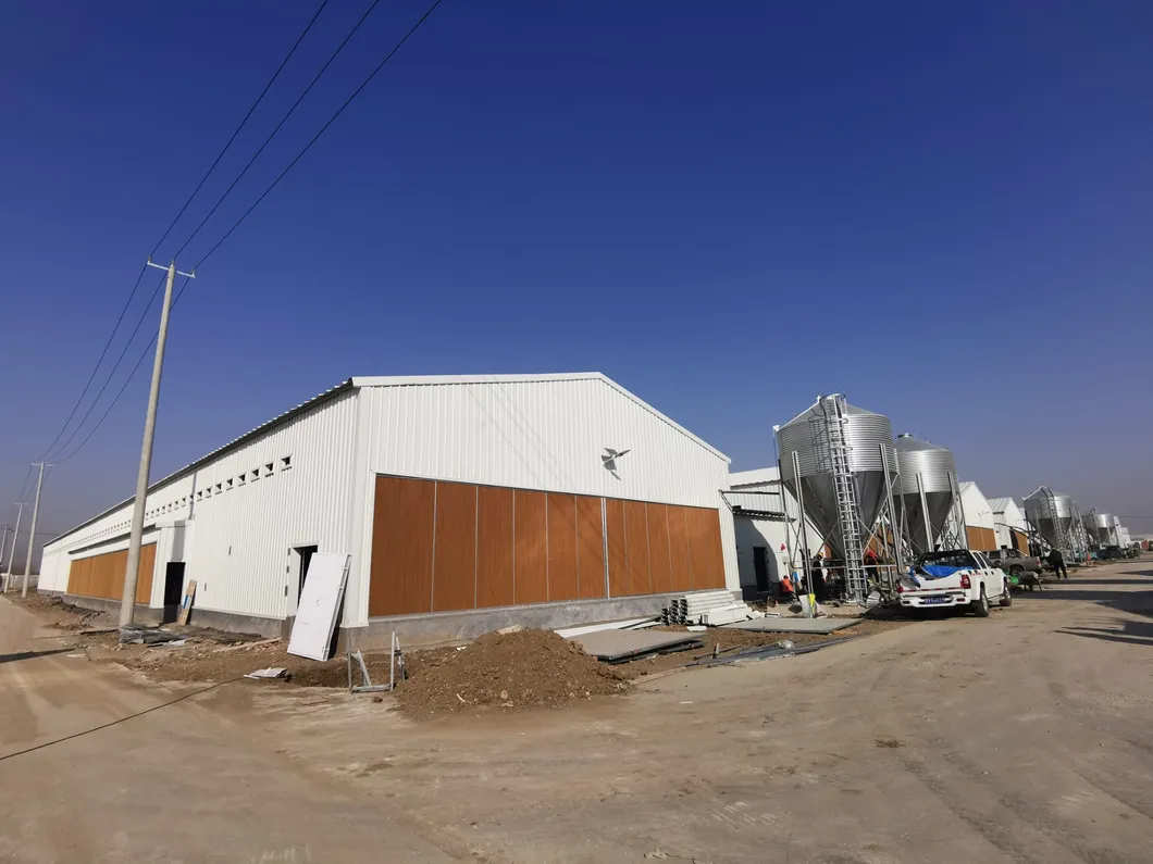 Insulation Panel Prefab Steel Structure Metal Breeding Poultry Chicken House 8