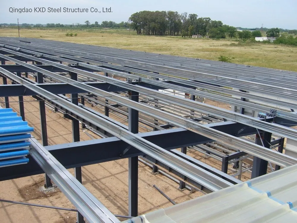 Prefabricated Structural Steel Metal Shed 2