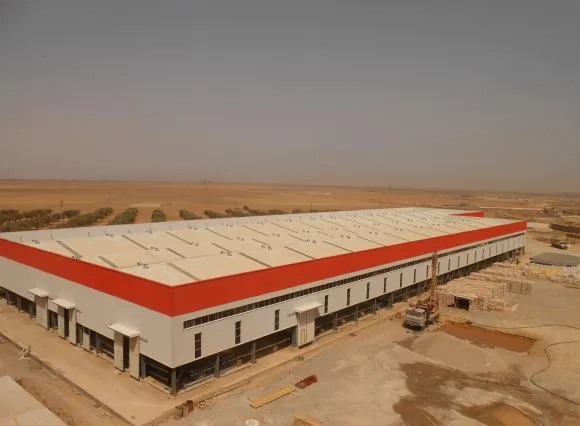 Metallic Steel Structure for Storage Building Shed Construction 1