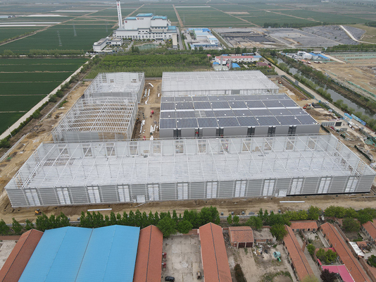 Steel Structure High-Rise Buildings- Innovative Solutions for Modern Construction