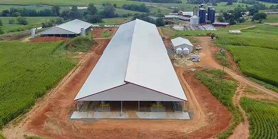 Galvanized Light Steel Frames Single Layer Corrugated Steel Plate Roof Broiler House