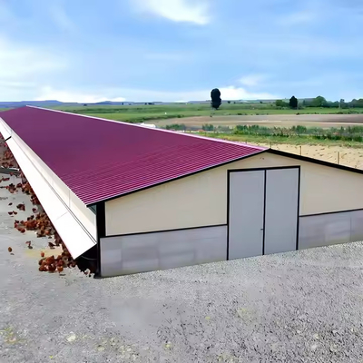 Steel Metal Frame Structure Prefab Chicken House Structure Farm Shed Q235 Q355
