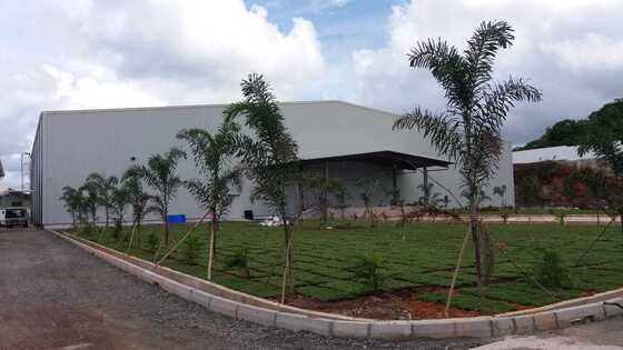  Stadium Use Scenario: Fast Build Prefab Steel Structure Stadium for Sports Use