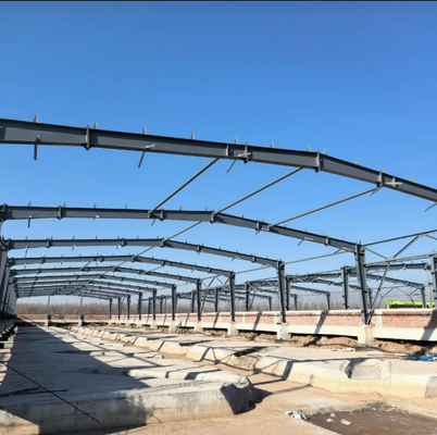 Custom Design Cost-Effective Steel Structure Building with Fast Installation